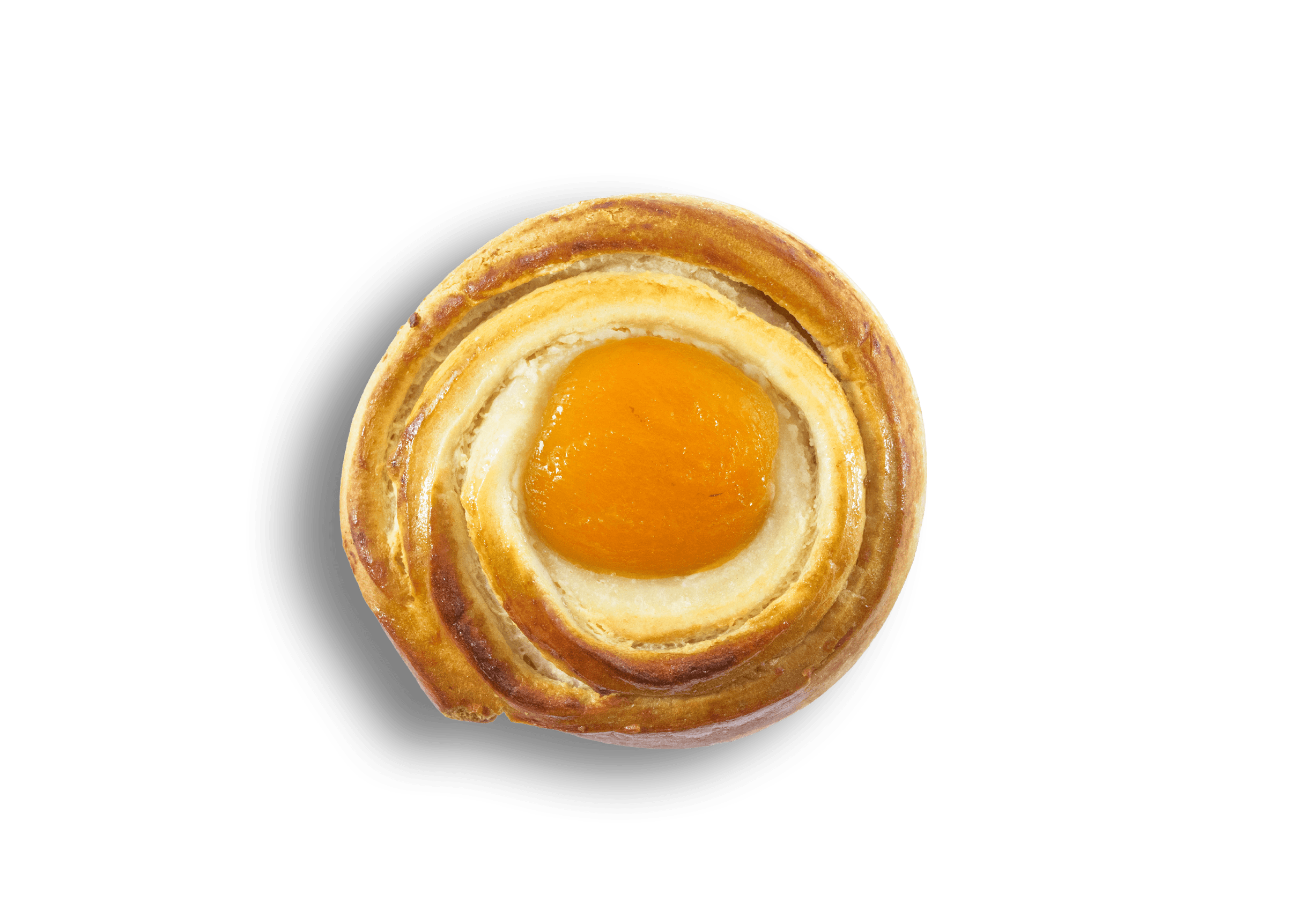 Marillenschnecke