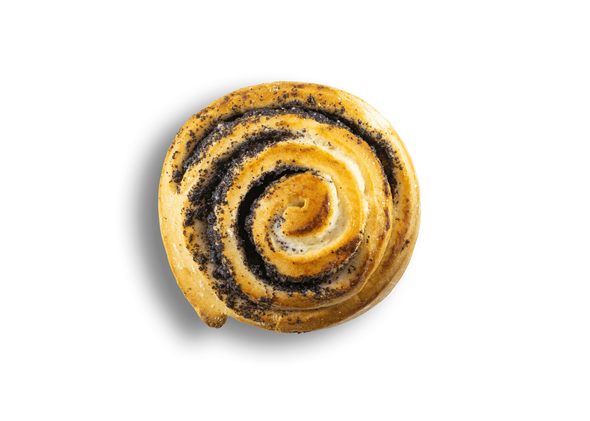 Mohnschnecke